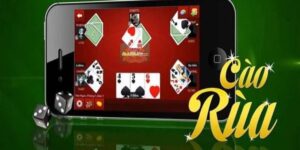 faq lien quan den cao rua